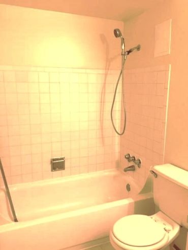 Simple bathroom with bathtub, shower, and toilet.