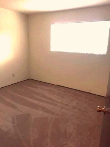 Empty room with beige carpet and bright window.