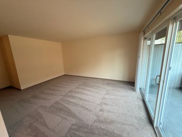 Empty room with carpet and sliding glass door.