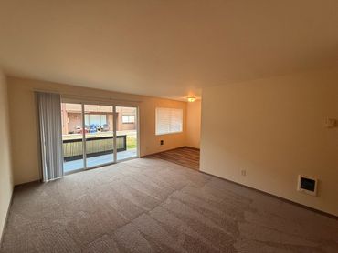 Empty living room with carpet and sliding glass doors.