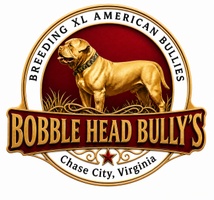 Bobble Head Bully's