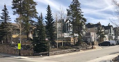 Residential homes surrounded by tall pine trees on a clear day.