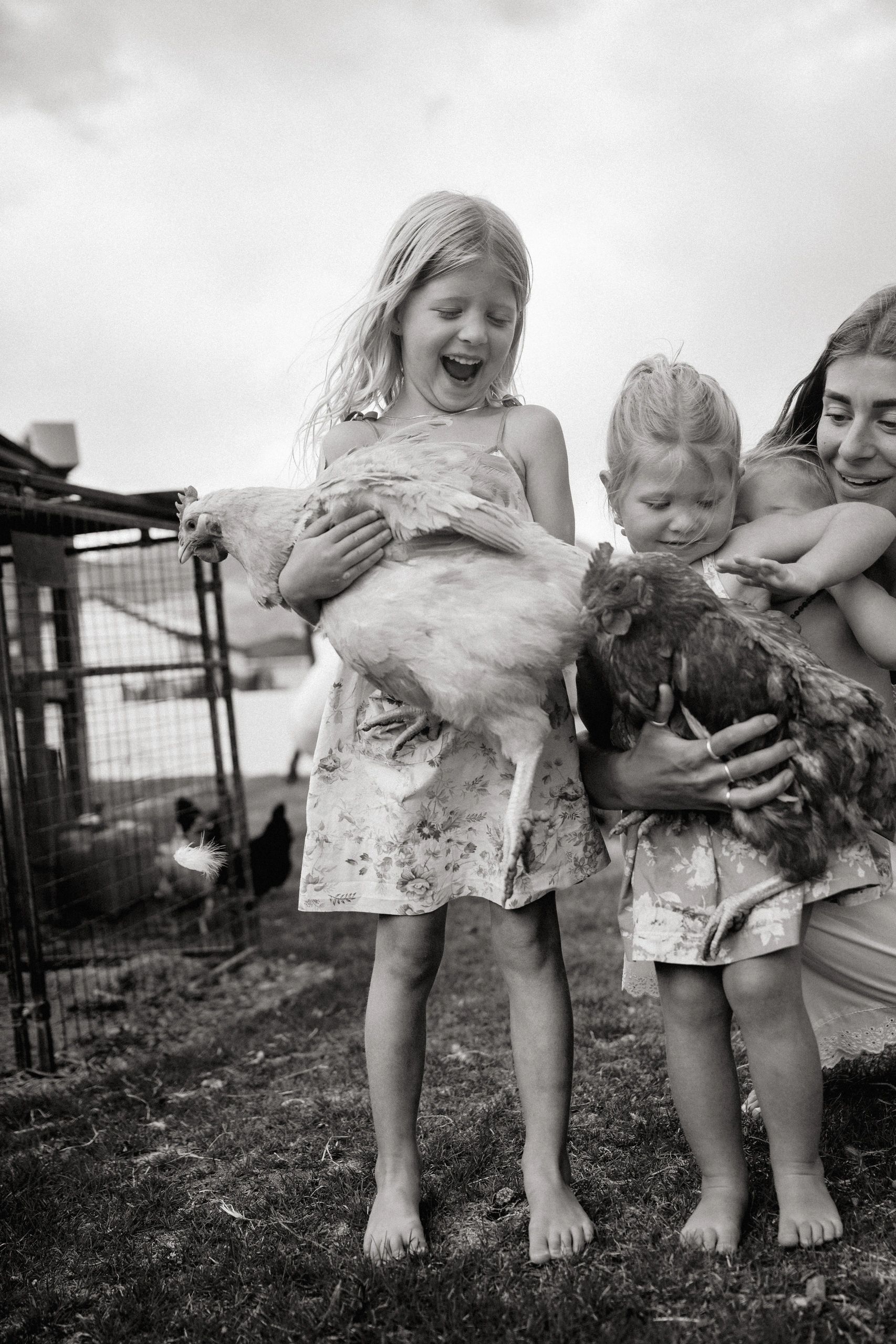 Children joyfully holding chickens on a farm.