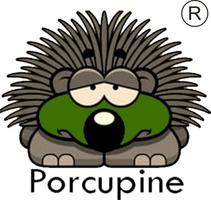Porcupine Energy India