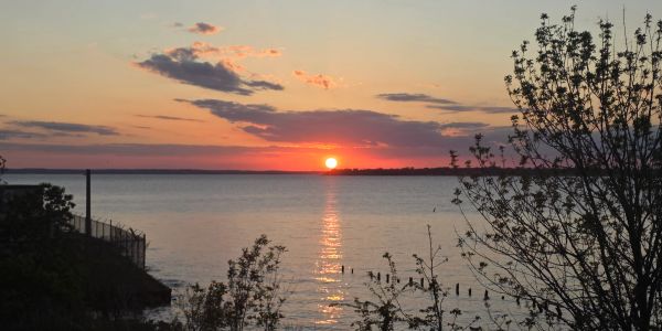 Sunset over a calm lake with silhouettes of trees around.