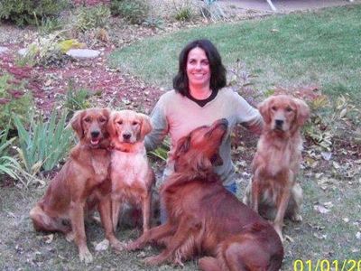 Woman with four golden retrievers in a garden.