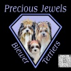 Precious Jewels Biewer Terriers