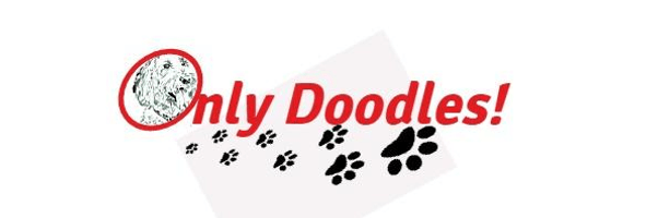 Only Doodles!
