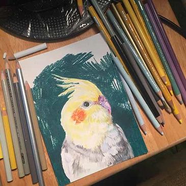 This is a custom portrait of a cockatiel that I was working on. His name is Raisin. 