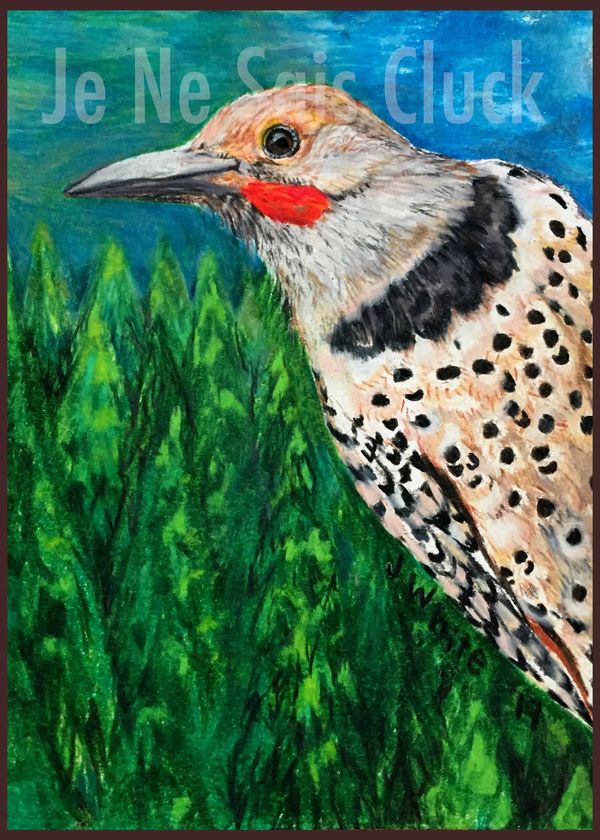 This is a Northern Flicker from my backyard. I put him in a woodsy setting. 