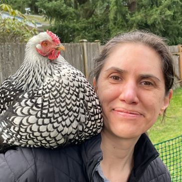 This is a photo of me with our Silver Laced Wyandotte hen named Neptune on my shoulder. 
