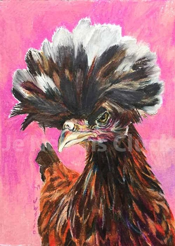 Disco Mo, the Polish Hen. I drew this  chicken portrait with colored pencils.. 