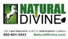 NATURAL DIVINE - NATURAL CONFIDENCE STORE