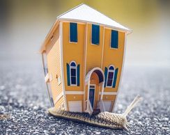 House Move Snail