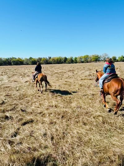 Two people horseback riding in an open field under a clear blue sky.