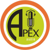 Apex Audio llc