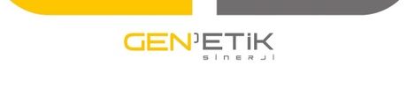 Genetik Sinergi