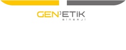 Genetik Sinergi