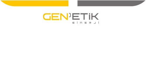 Genetik Sinergi