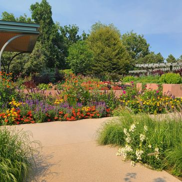 If xeriscapes or hardscapes are not for you we will work meticulously to design a thriving softscape.