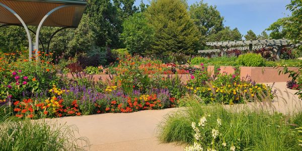 If you prefer to have minimal hardscaping or xeriscaping native plant designs are just what you need.