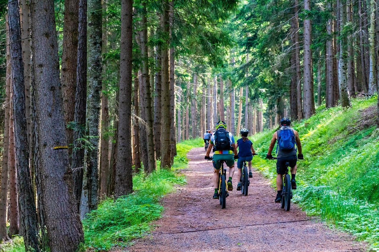 usuários  de bicicletas