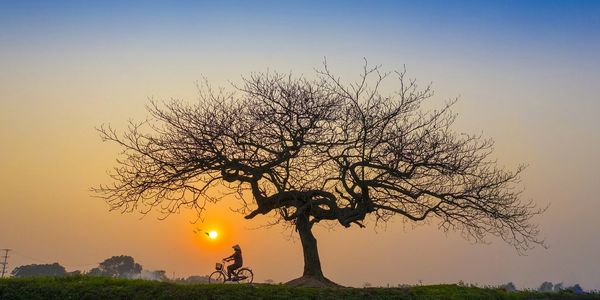 passeio de bicicleta