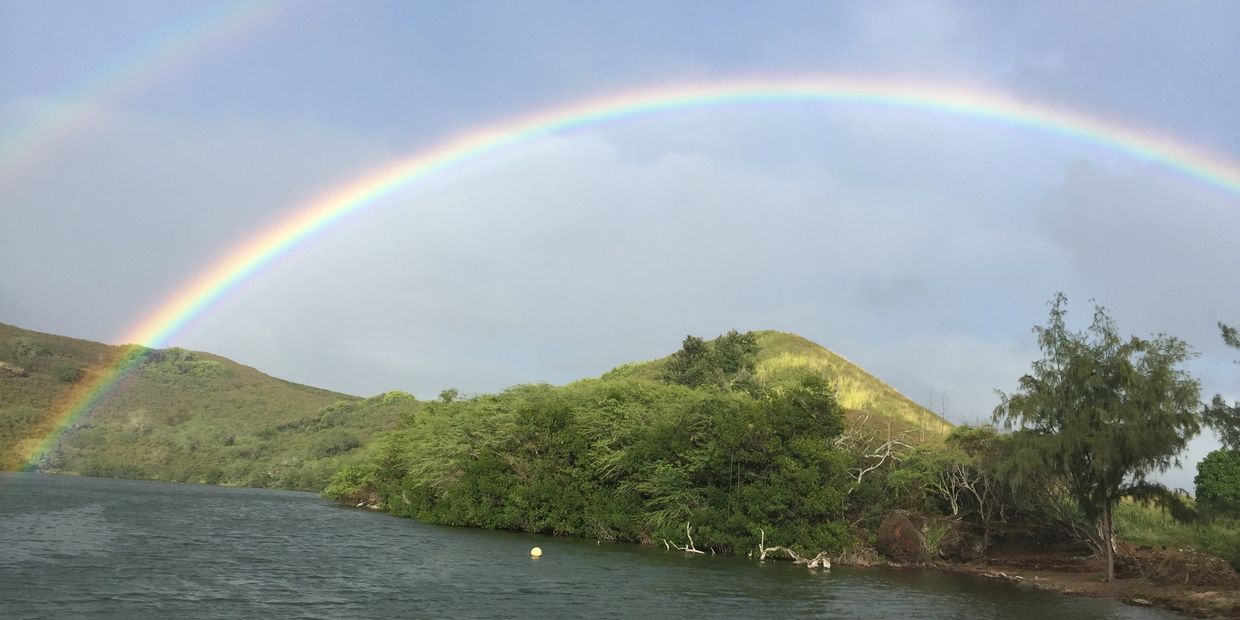 Ancient Hawaiian Fishponds: a Sustainable Way to Farm Fish