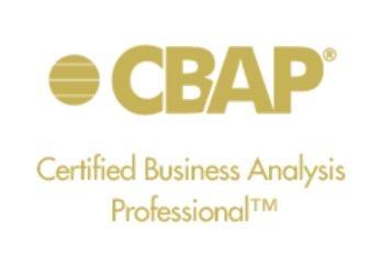 New CBAP Test Questions