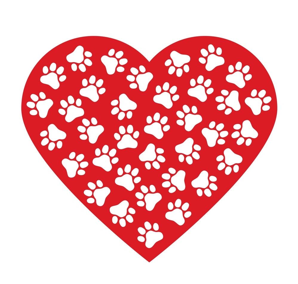 Mechanic Falls Veterinary Hospital Home