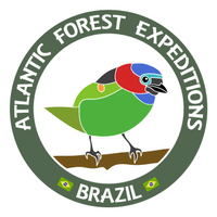 Atlantic Forest expeditions