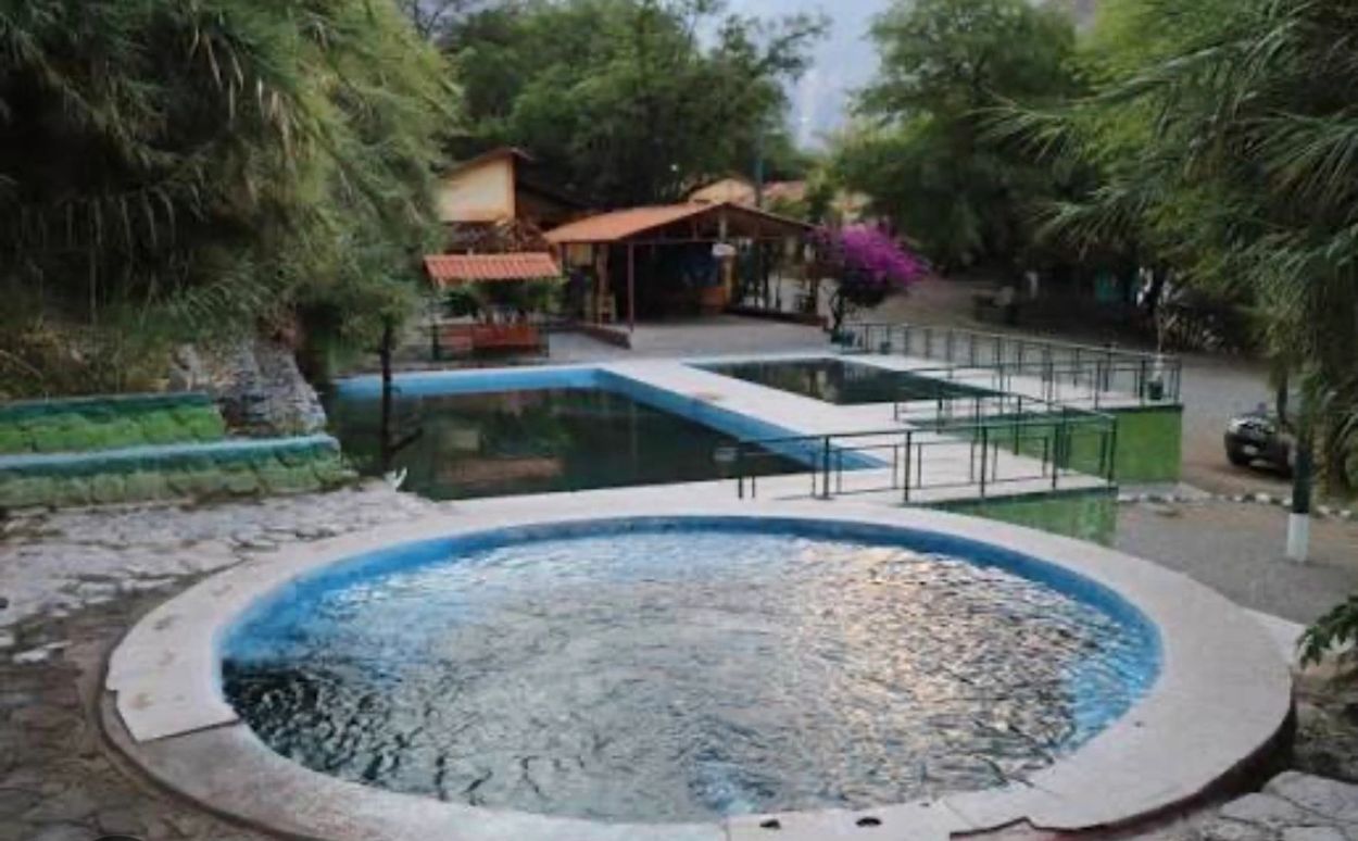 Outdoor hot tub and rectangular pools in a garden setting.