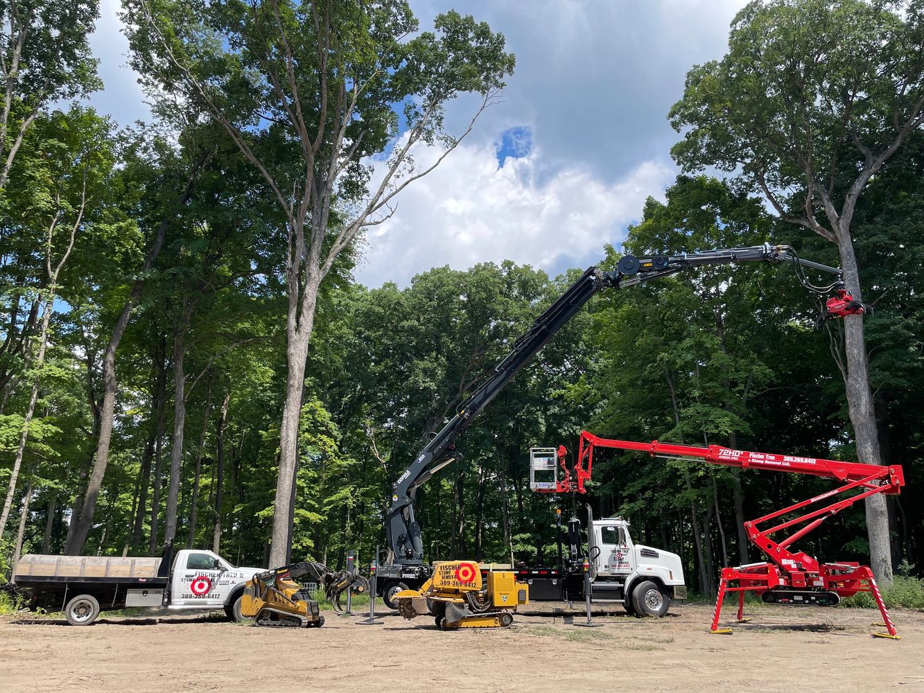 Fischer Tree Service Tree Work, Stump Removal, Tree Removal