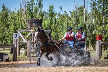 Two riders navigate a horse through water during an equestrian event.