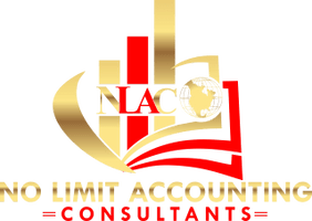 No Limit Accounting Consultants