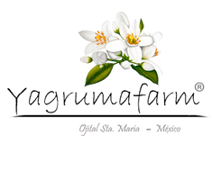 Yagrumafarm