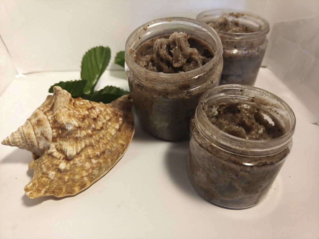 Three jars of coffee scrub with a seashell and green leaves on white background.