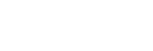 Service Bridge Consulting
