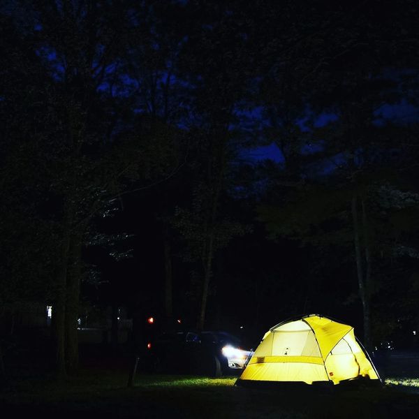 A glowing yellow tent illuminated at night in a dark forest.