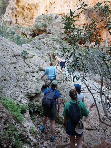 Group hiking up a rocky trail surrounded by greenery.