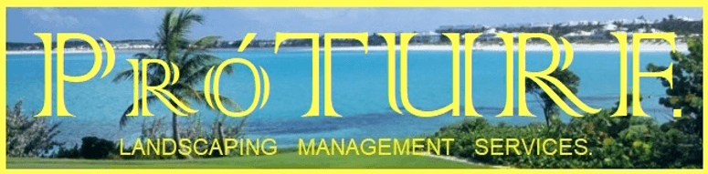 PróTURF Landscaping Services. Resort Gólf Béach Ránch Chéss Póóls