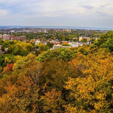 Cityscape viewed from a hill with autumn foliage in the foreground.