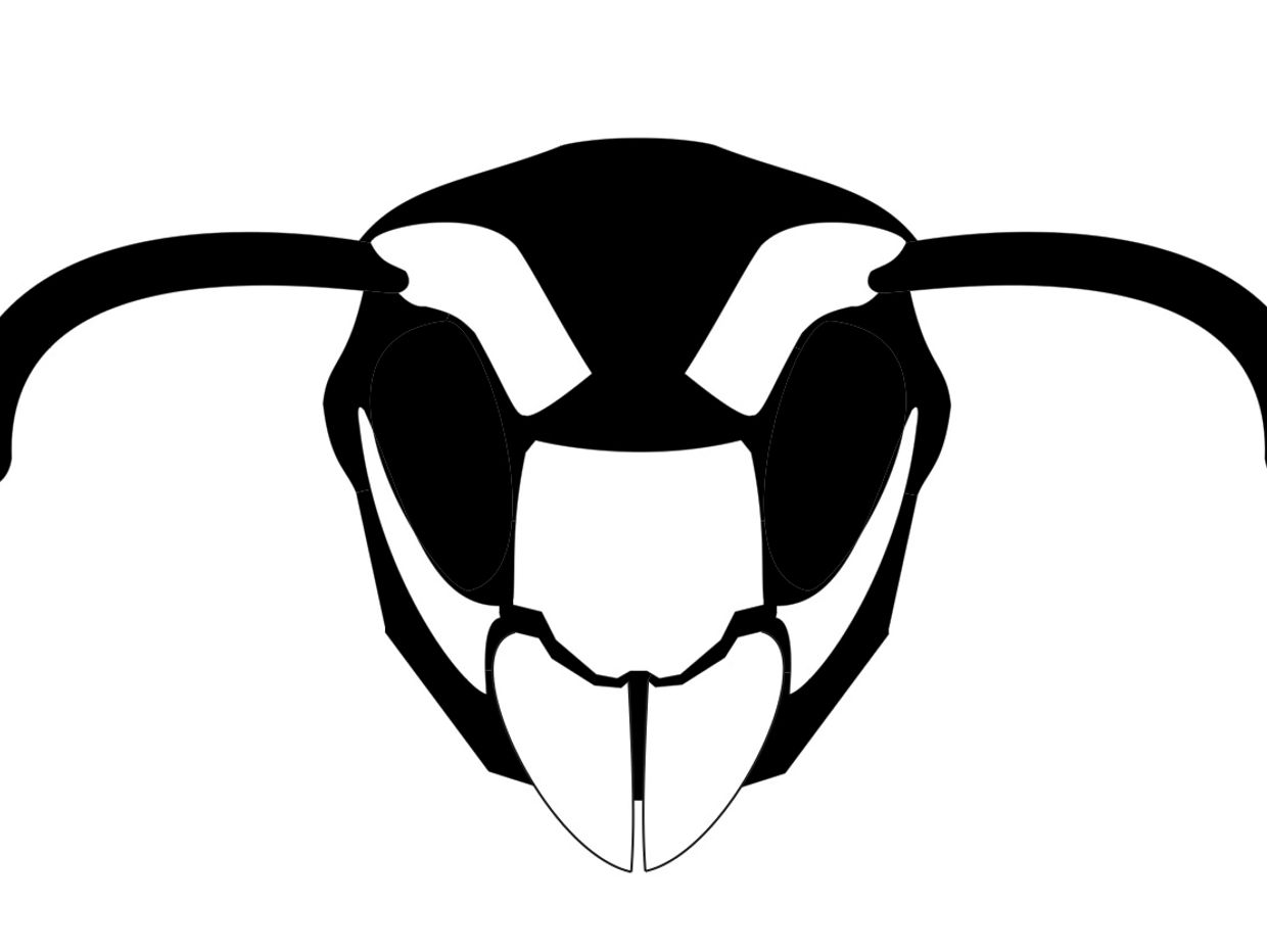 Black and white close-up insect face illustration.