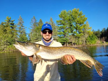 Fishing guide holding a northern pike, Lake of the Woods, Kenora.