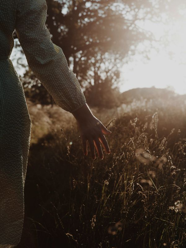 Person's hand touching tall grass in sunlight.