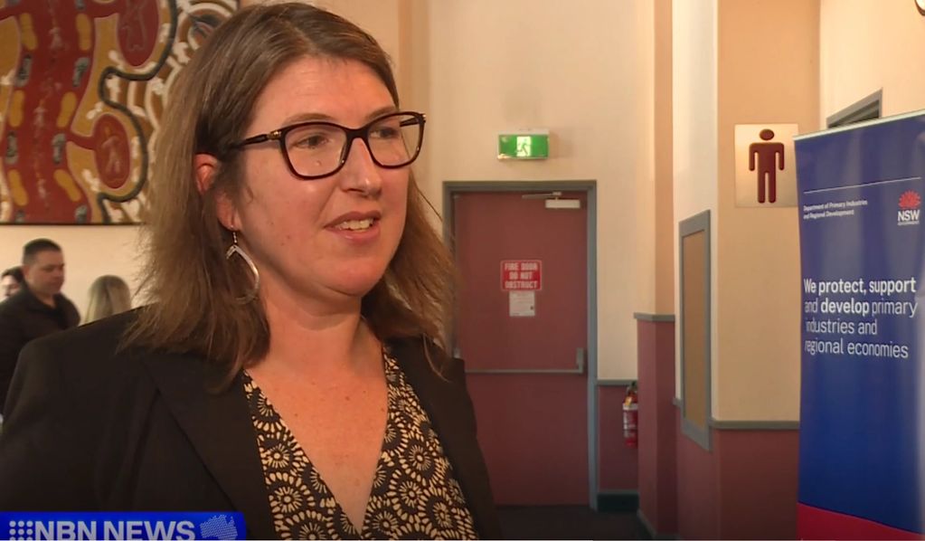 Heidi is talking on NBN news