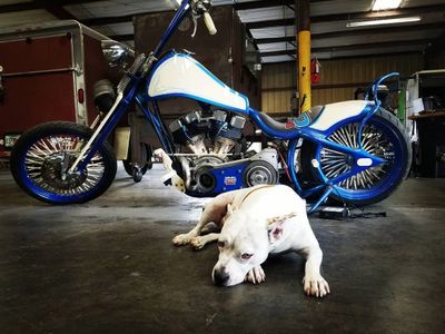 Custom Built Shovelhead Chopper Eric Warren Designs