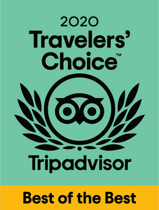 2020 tripadvisor travelers' choice best of the best award