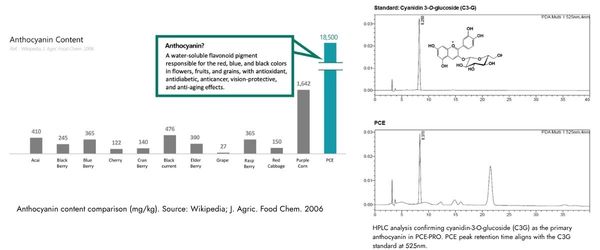 Graph and data showing anthocyanin content in various foods, highlighting purple carrot and PCE.