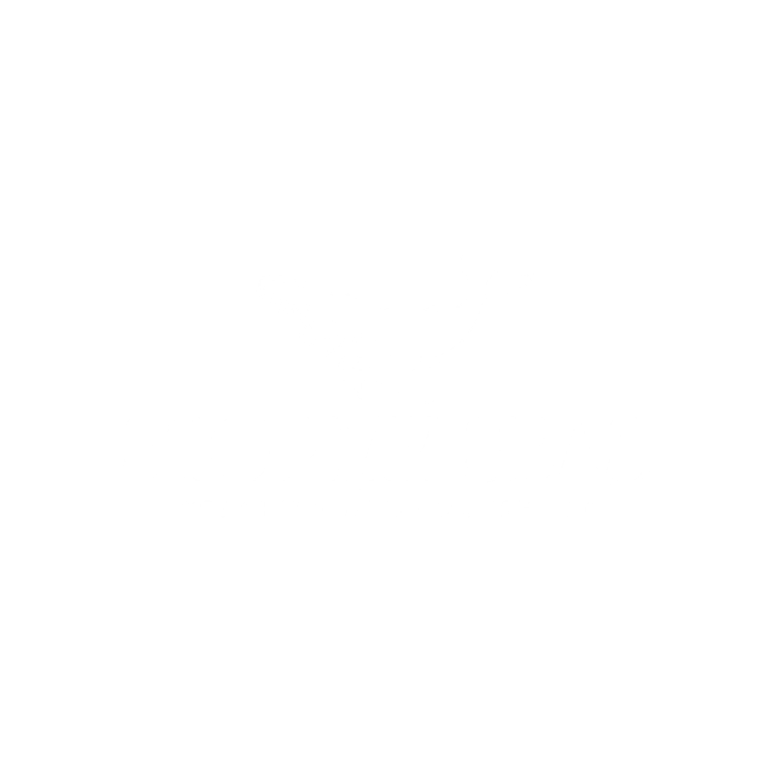 Stormy Seas Coaching and Counseling